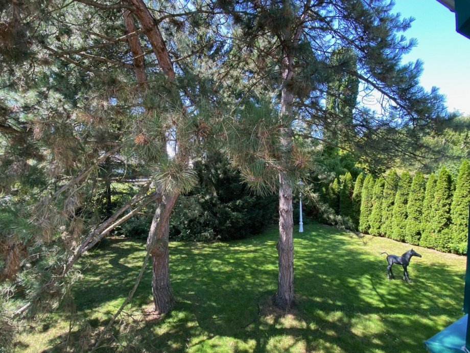 Gartenansicht Maisonettewohnung K�ln
